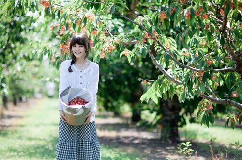 霸气而不失优雅的昵称(110个)
