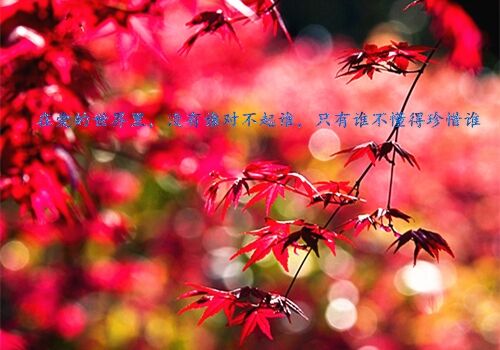 cf战队霸气超牛的名字大全(60个)