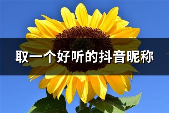取一个好听的抖音昵称(优选900个)