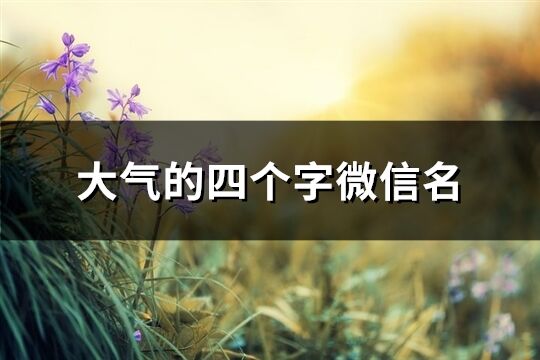 大气的四个字微信名(368个)