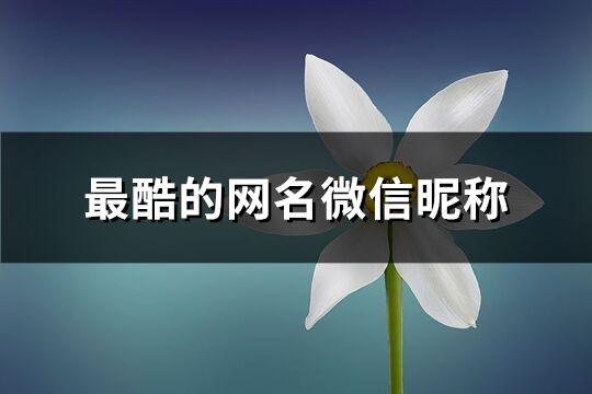 最酷的网名微信昵称(共492个)