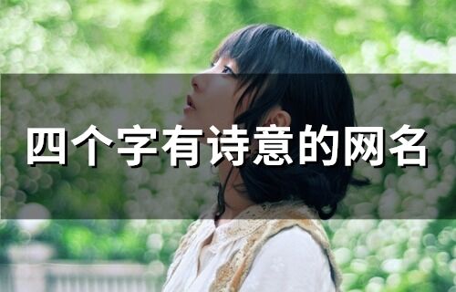 四个字有诗意的网名(精选60个)
