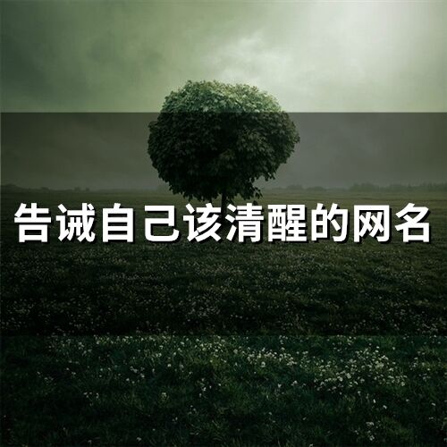 告诫自己该清醒的网名(精选163个)
