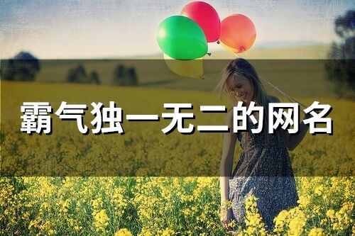 霸气独一无二的网名(精选66个)