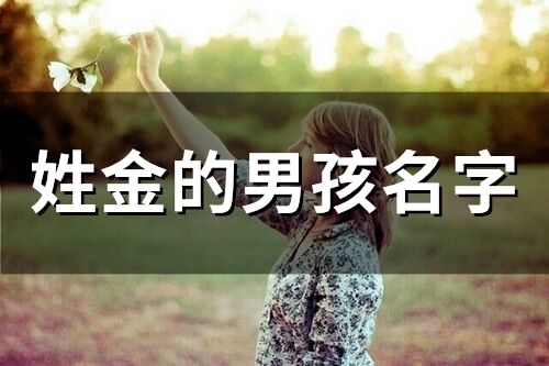 姓金的男孩名字 金姓男孩取名大全