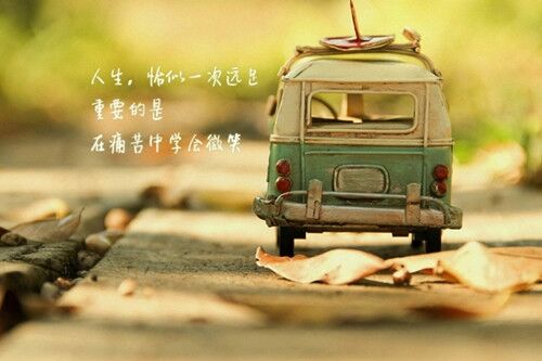 最受女生欢迎的名字(优选319个)