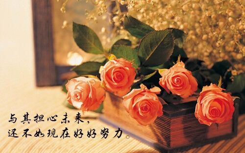 皮一点又蛮可爱的昵称两个字(105个)
