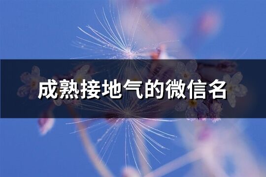 成熟接地气的微信名(优选387个)