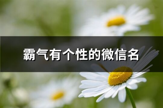 霸气有个性的微信名(共634个)