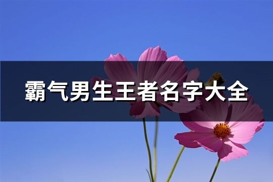 霸气男生王者名字大全(443个)