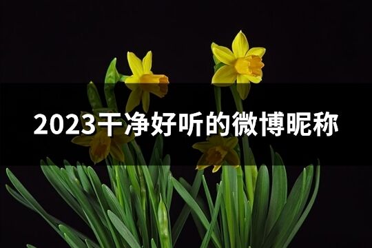 2023干净好听的微博昵称(优选124个)