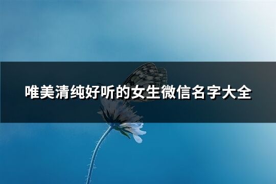 唯美清纯好听的女生微信名字大全(优选366个)