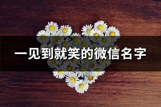 一见到就笑的微信名字(精选126个)