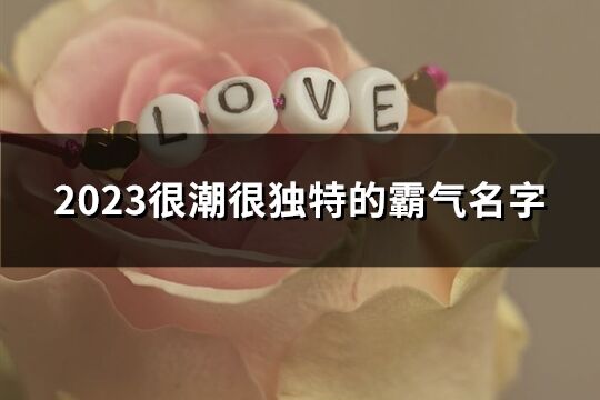 2023很潮很独特的霸气名字(优选636个)