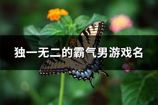 独一无二的霸气男游戏名(共555个)
