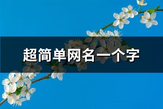 超简单网名一个字(358个)