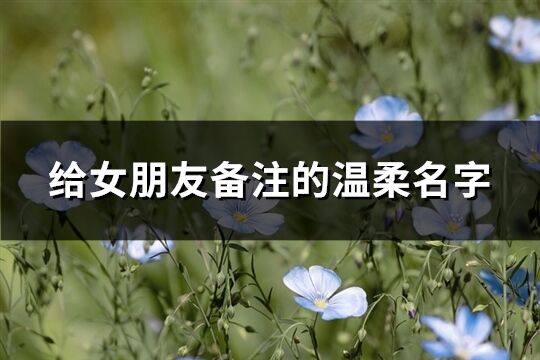 给女朋友备注的温柔名字(共124个)