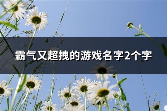 霸气又超拽的游戏名字2个字(656个)