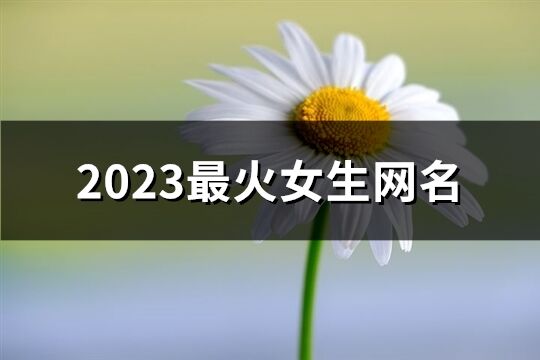 2023最火女生网名(精选1251个)