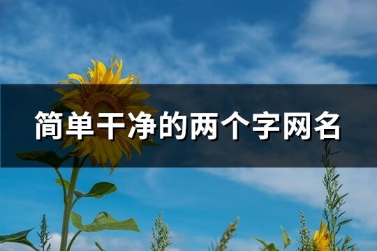 简单干净的两个字网名(优选401个)