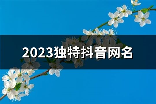 2023独特抖音网名(共1348个)