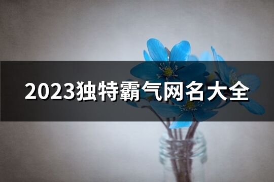 2023独特霸气网名大全(1126个)