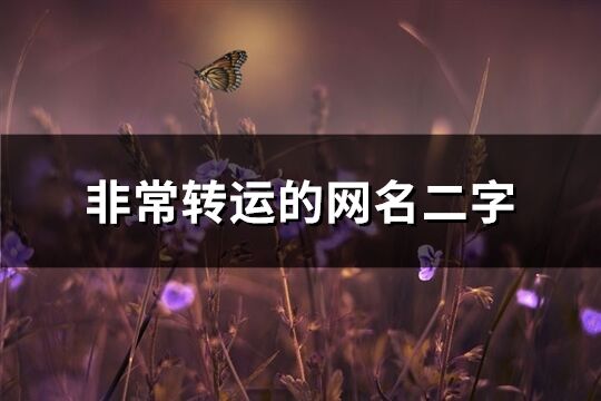 非常转运的网名二字(306个)
