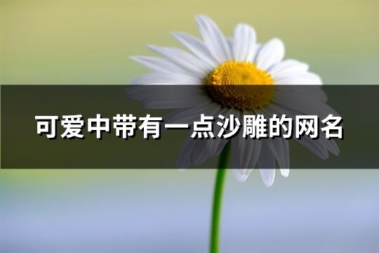 可爱中带有一点沙雕的网名(精选209个)