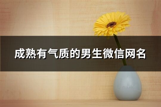 成熟有气质的男生微信网名(共949个)