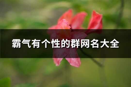 霸气有个性的群网名大全(166个)
