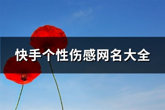 快手个性伤感网名大全(精选488个)