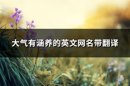 大气有涵养的英文网名带翻译(共63个)