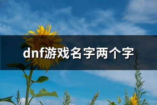 dnf游戏名字两个字(621个)