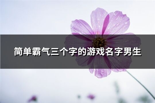 简单霸气三个字的游戏名字男生(共224个)