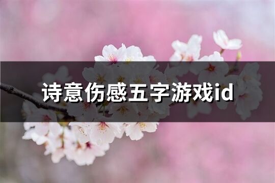 诗意伤感五字游戏id(精选292个)