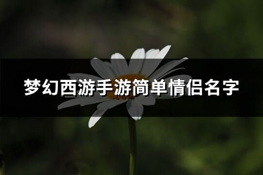 梦幻西游手游简单情侣名字(优选228个)