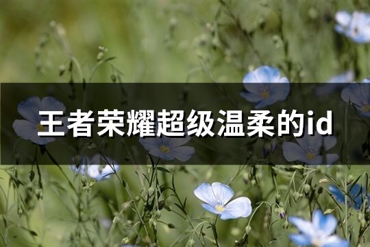 王者荣耀超级温柔的id(优选189个)