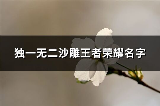 独一无二沙雕王者荣耀名字(优选103个)