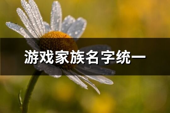 游戏家族名字统一(优选223个)