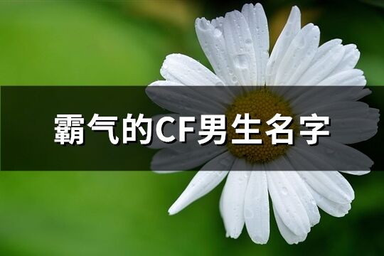 霸气的CF男生名字(优选455个)