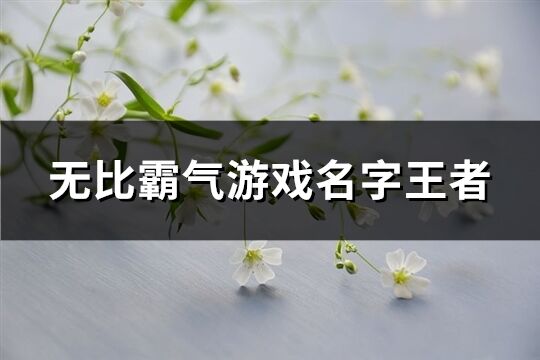 无比霸气游戏名字王者(共274个)