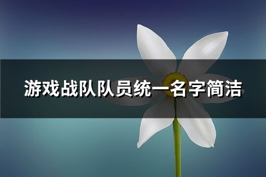 游戏战队队员统一名字简洁(精选327个)
