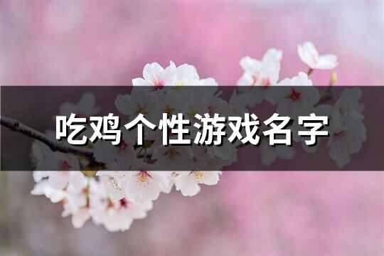 吃鸡个性游戏名字(精选158个)