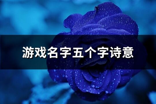 游戏名字五个字诗意(459个)