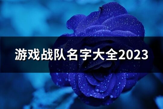 游戏战队名字大全2023(共354个)