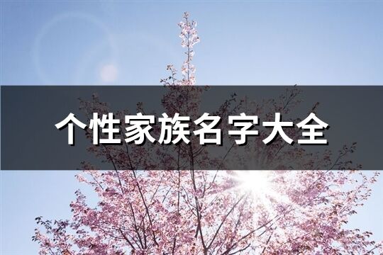 个性家族名字大全(92个)