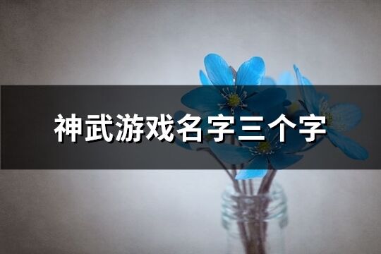 神武游戏名字三个字(优选551个)