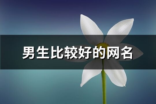 男生比较好的网名(共466个)