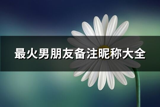 最火男朋友备注昵称大全(526个)