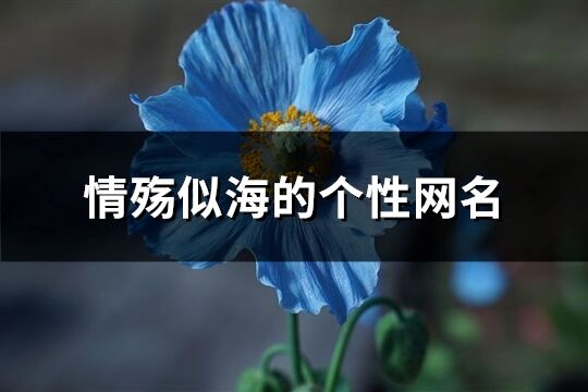 情殇似海的个性网名(386个)